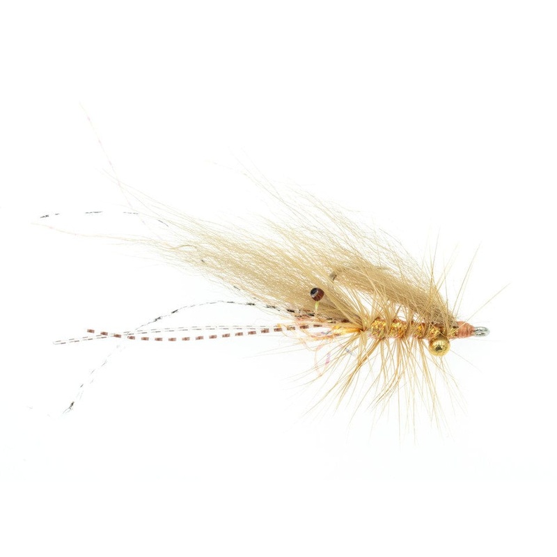 Chewy’s Halo Shrimp