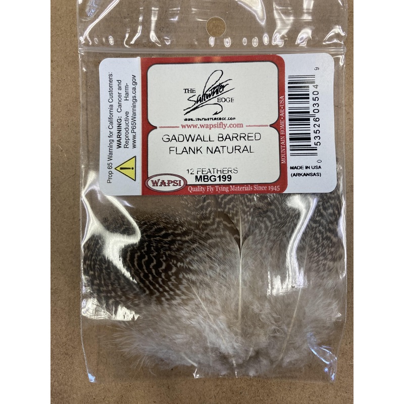 Gadwall Barred Flank