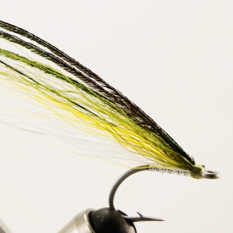 Ray’s Fly