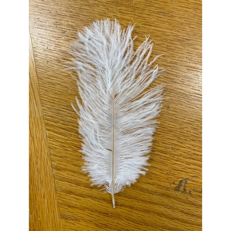 Ostrich Marabou