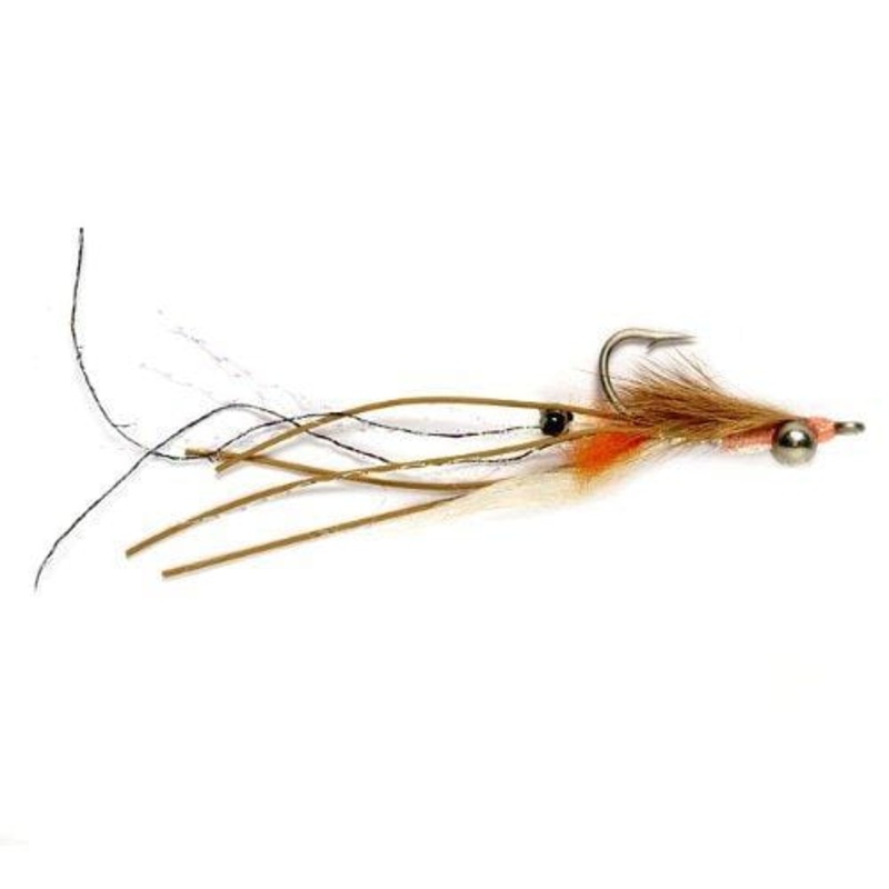Peterson’s Spawning Shrimp