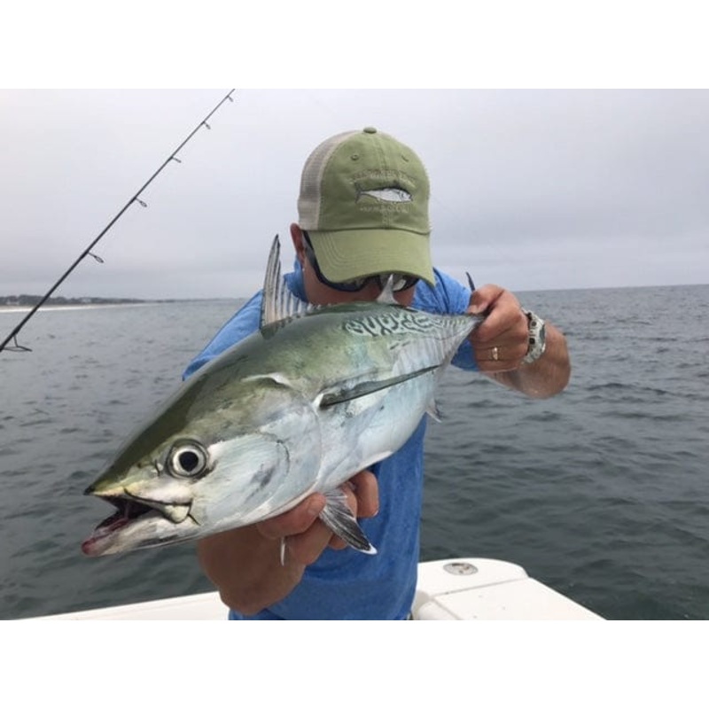 Saltwater Edge Albie Shootout 2024