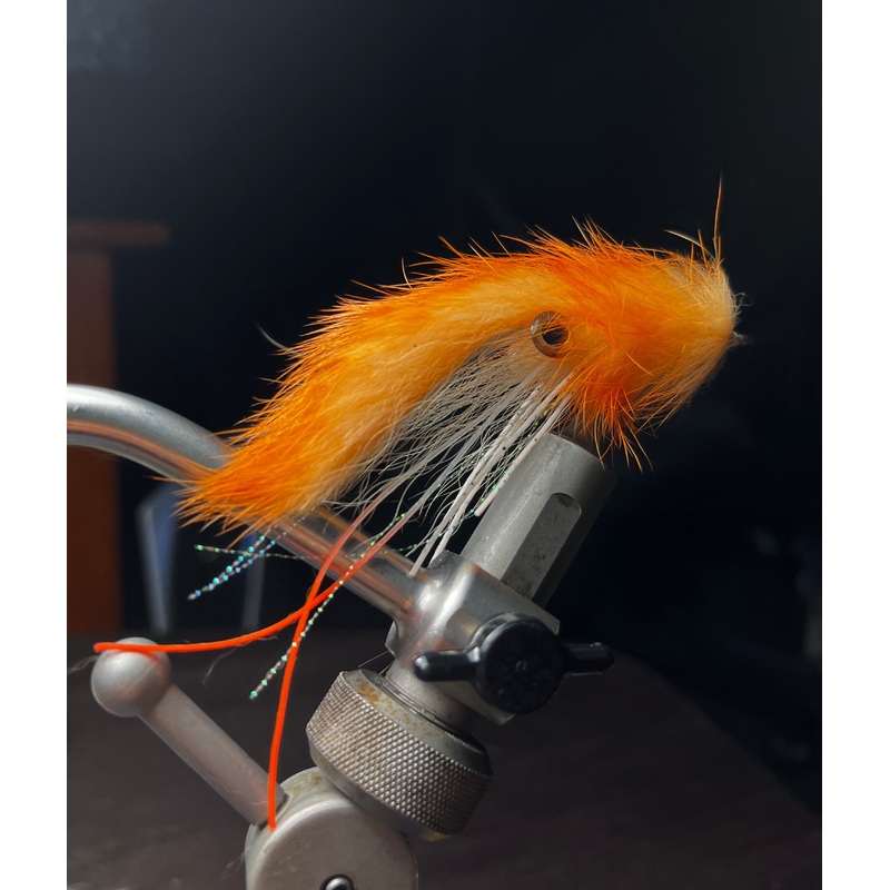 Squid-Sicle