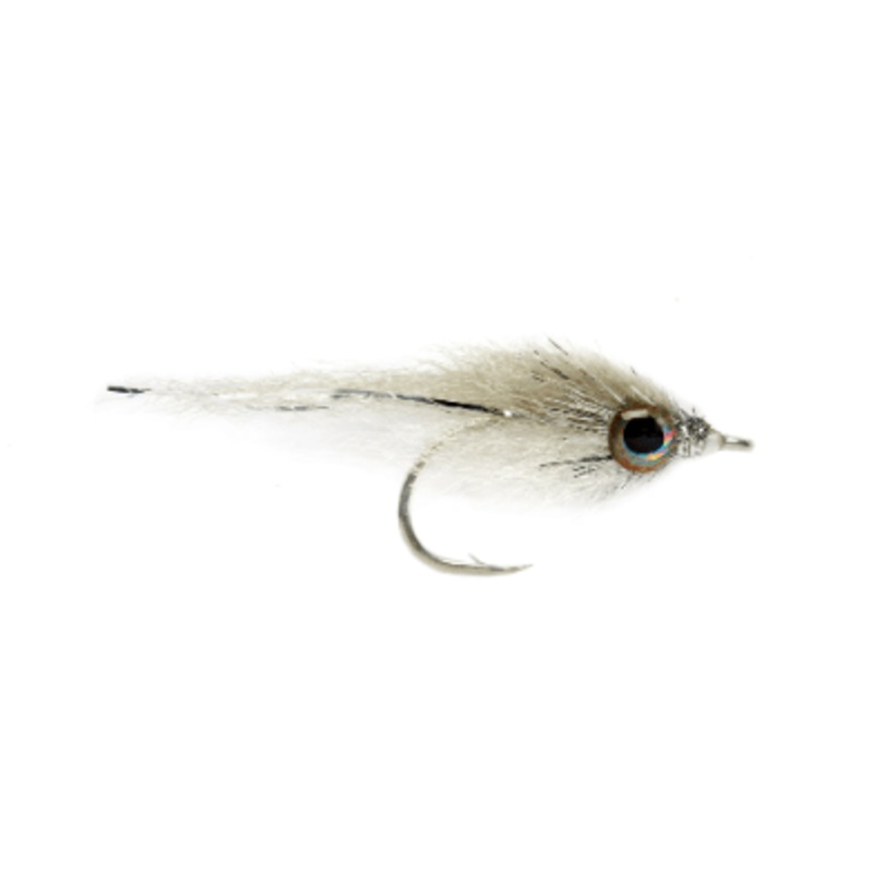 Salty Minnow