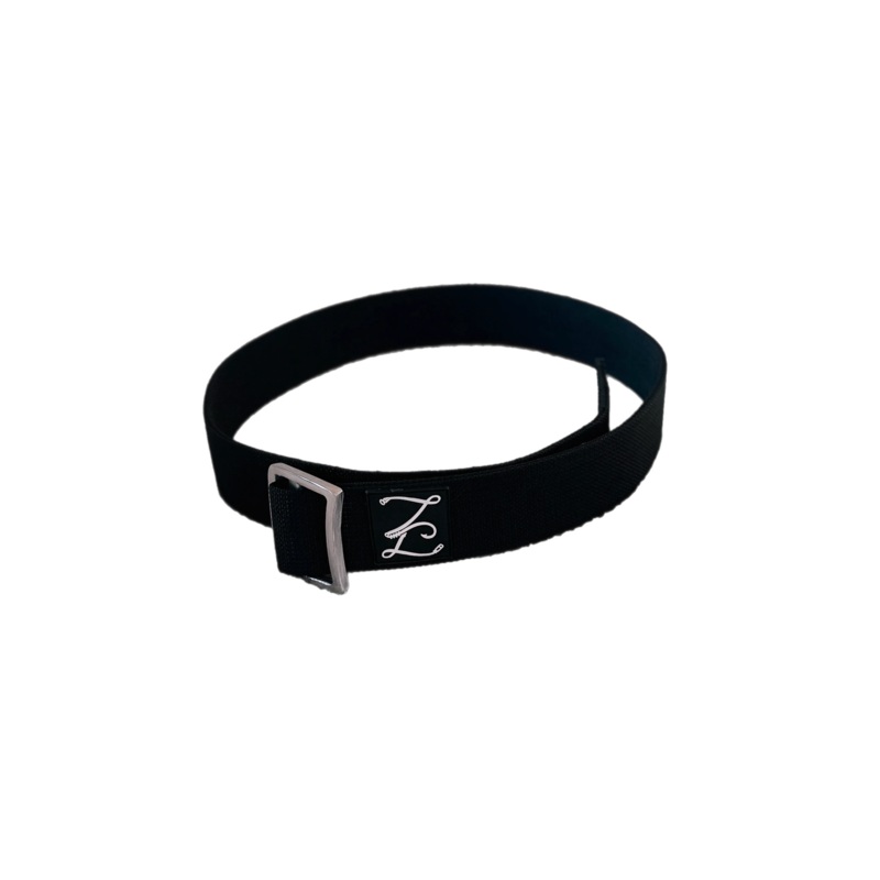 Z Dive Belt