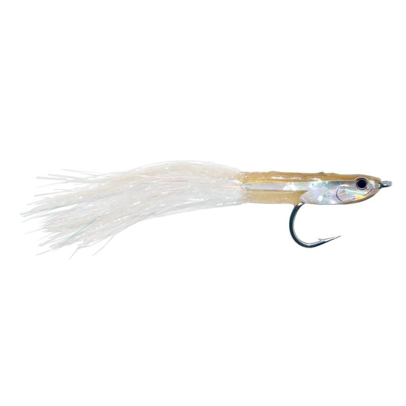 Popovic’s Fleye Bay Anchovy #2
