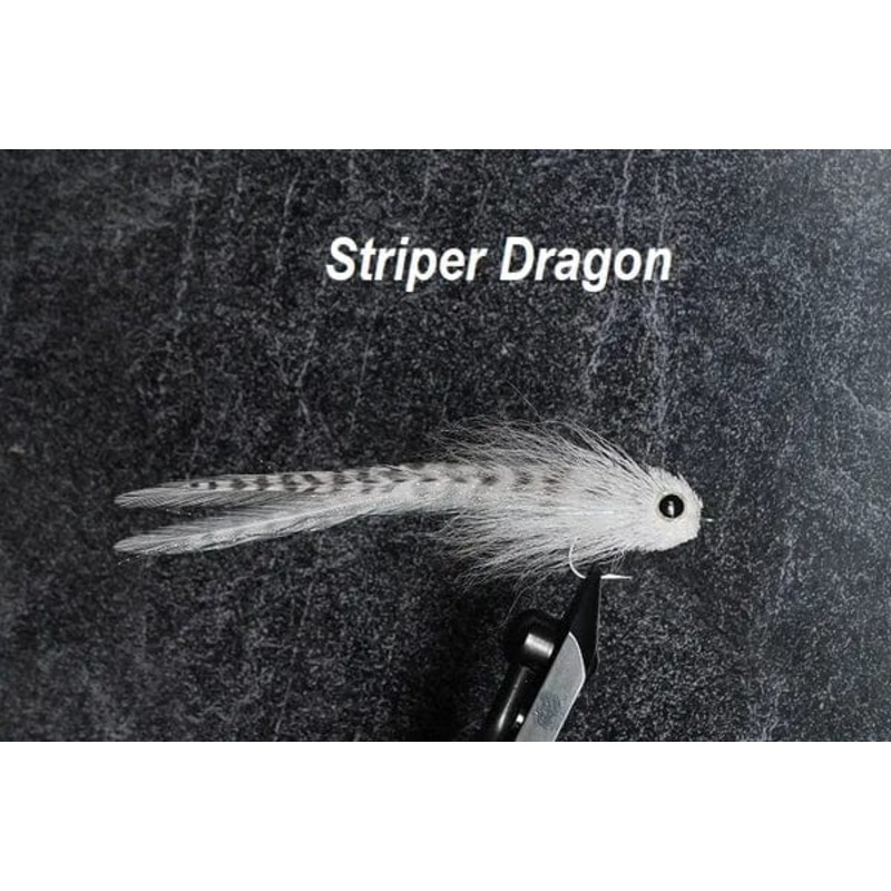 Striper Dragon
