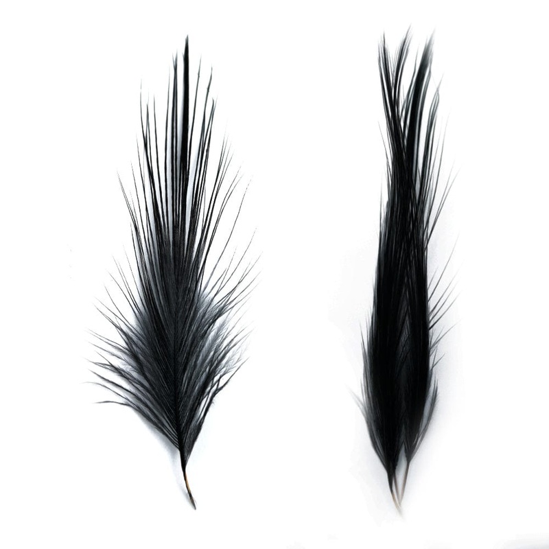 Heron Feathers (Black)