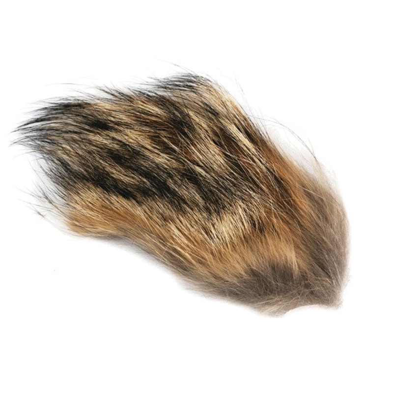 Coyote Fur