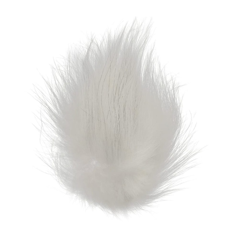 Arctic Fox