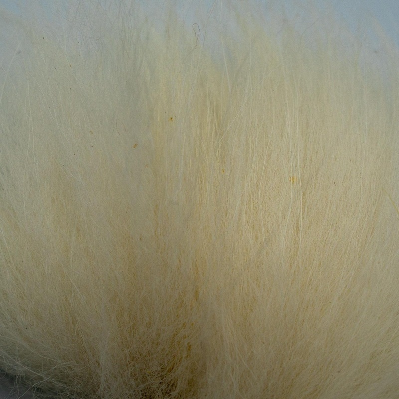 Finn Raccoon Tail