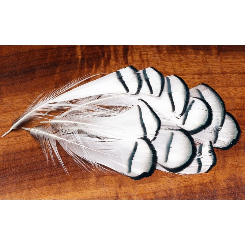 Lady Amherst Tippets