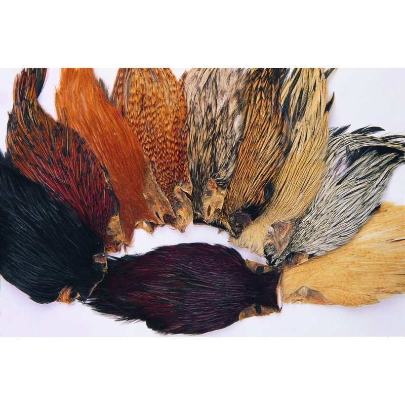 VENIARD INDIAN COCK CAPE