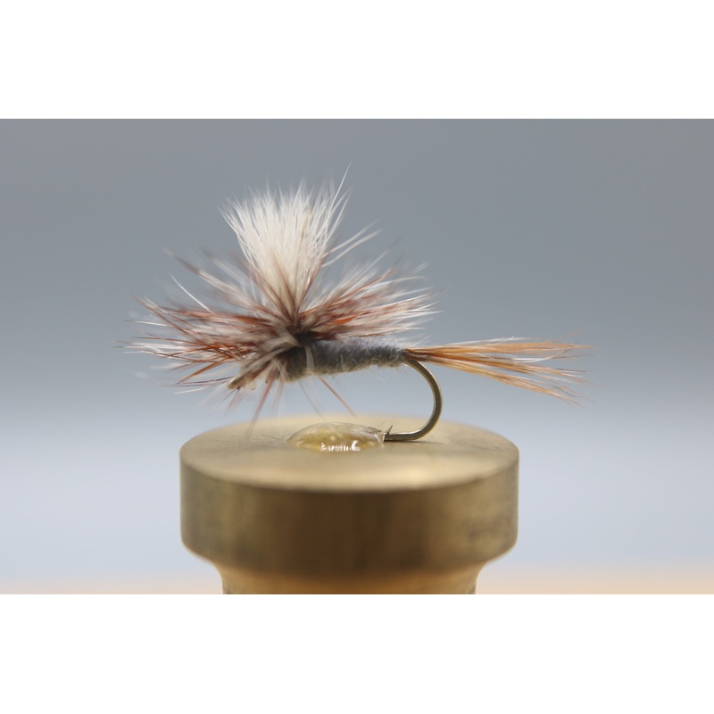 Adams Parachute Dry