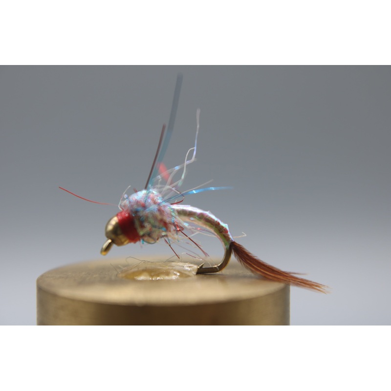 Bead Head Rainbow Warrior