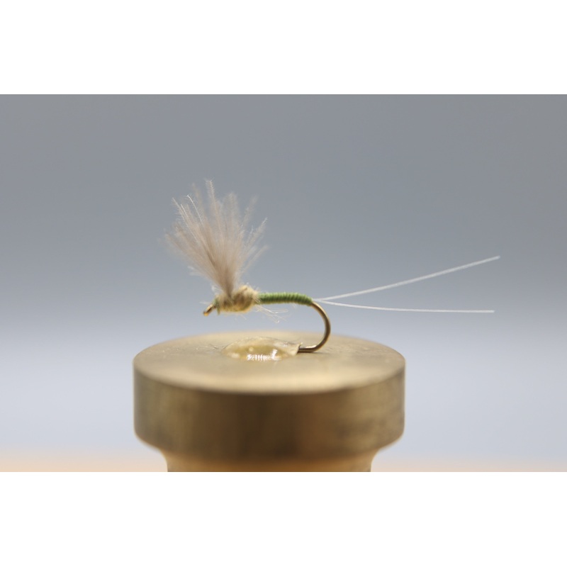 Blue Winged Olive CDC Comparadun Dry