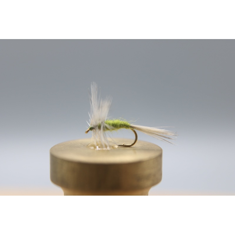 Blue Winged Olive Dry