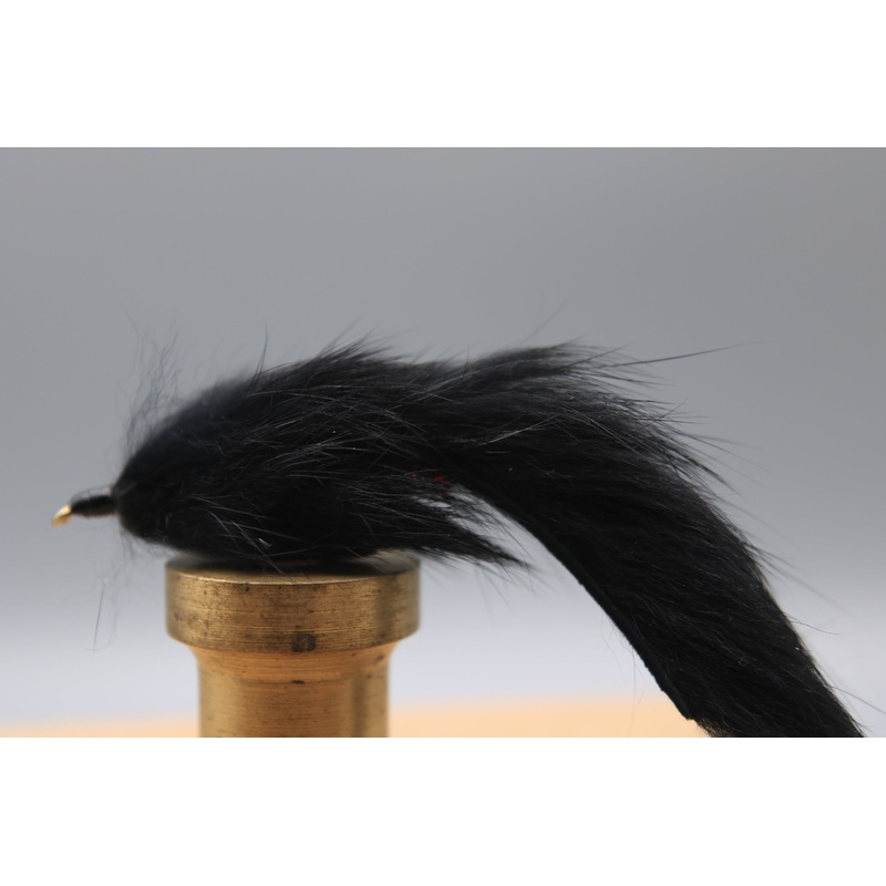 Bunny Leech