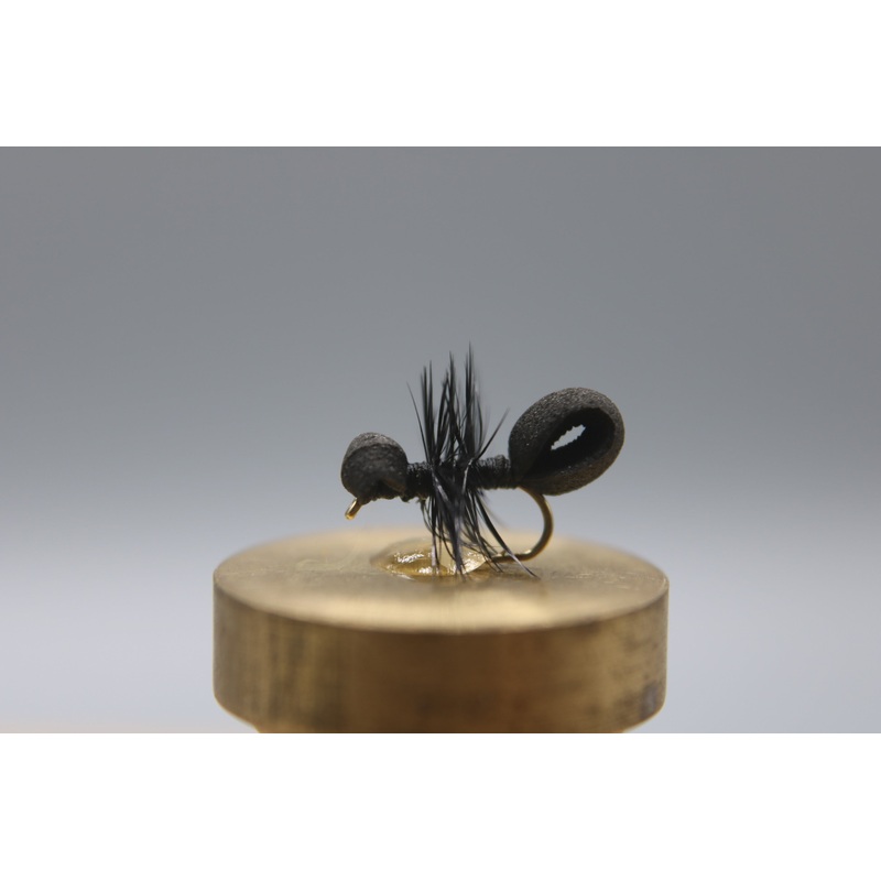 Foam Ant Dry