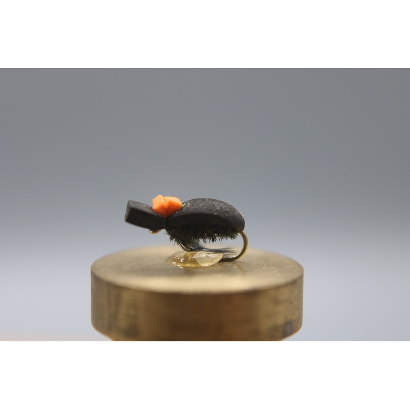 Foam Beetle Dry