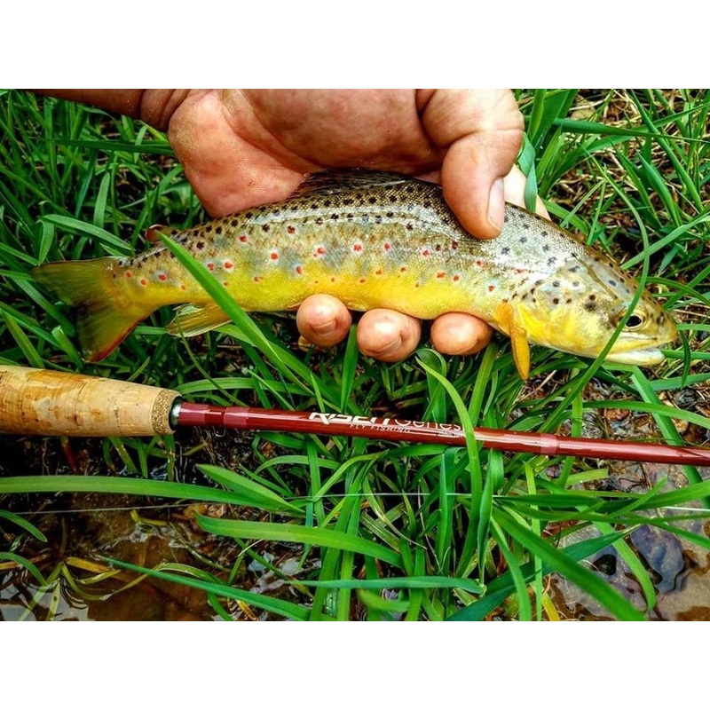 Genesis Fly Rod