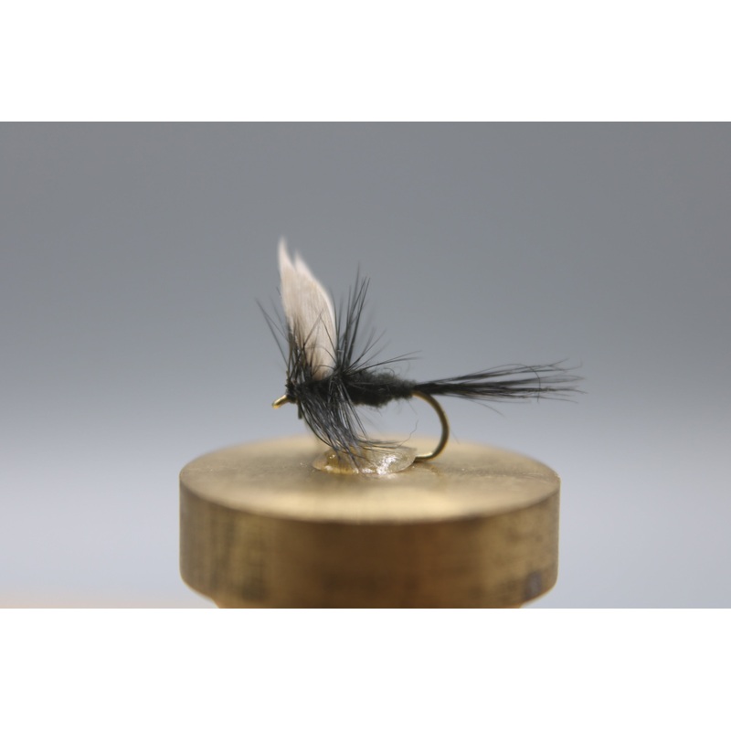 Gnat Black Dry