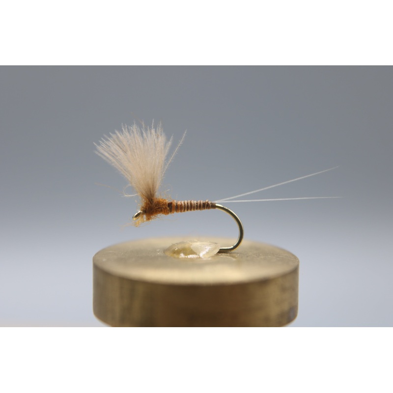 Mahogany CDC Comparadun Dry