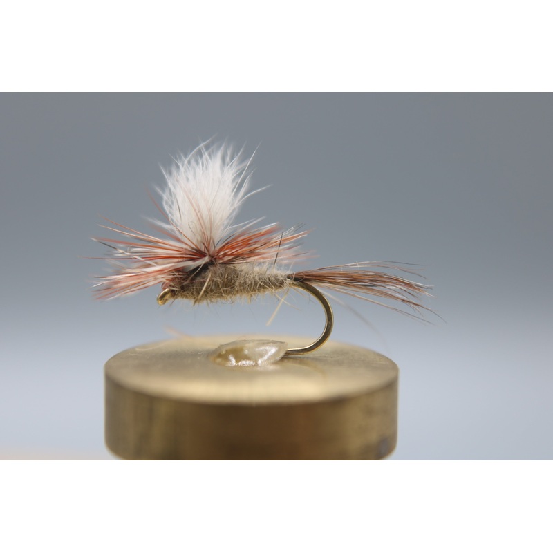 March Brown Parachute Dry
