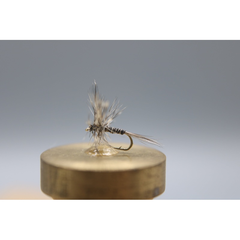 Mosquito Dry
