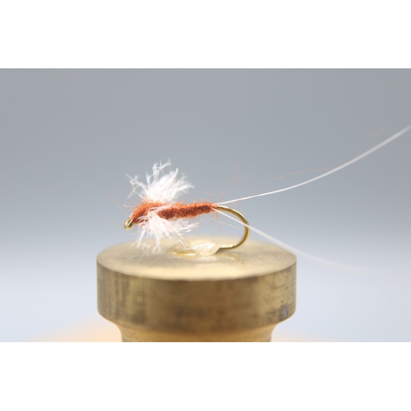 Rusty Spinner Dry