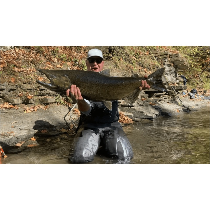 Salmon Kit