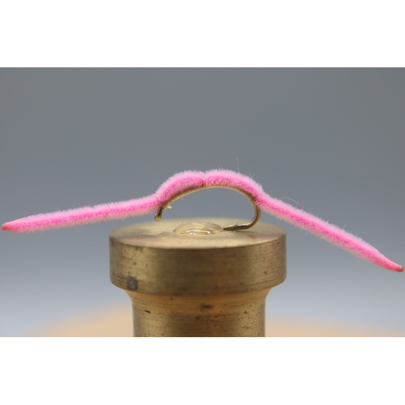 San Juan Worm