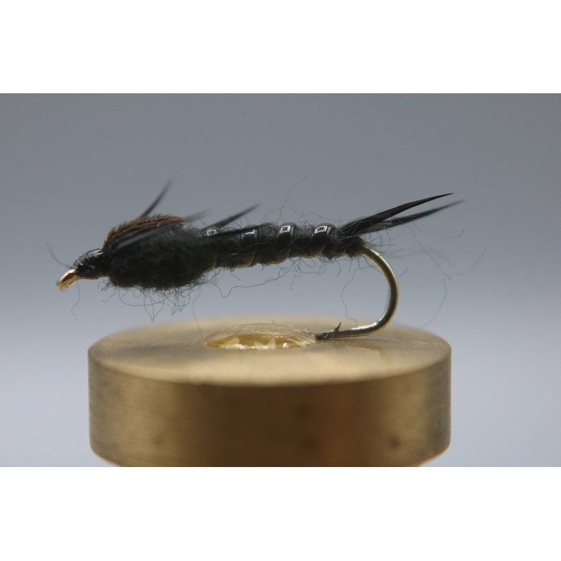 Stonefly Nymph