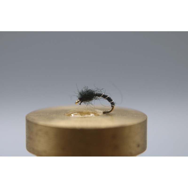 Zebra Midge