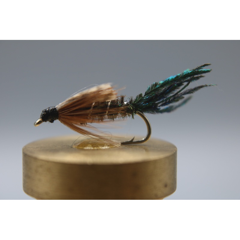 Zug Bug