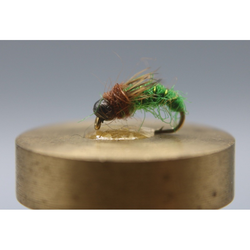 Bead Head Caddis Pupa