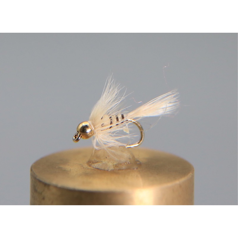 Bead Head Cahill Light Soft Hackle Emerger