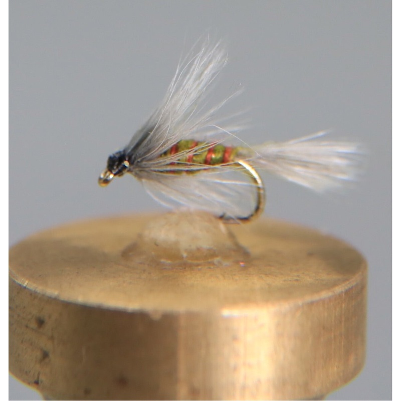 Blue Winged Olive Soft Hackle Emerger