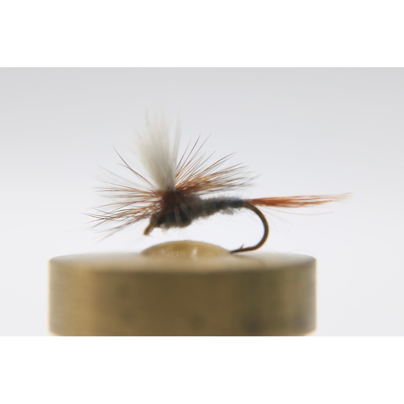 Cahill Dark Parachute Dry