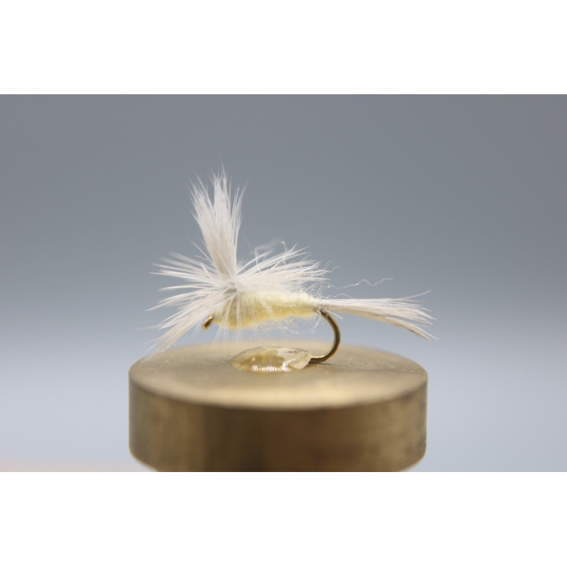 Cahill Light Parachute Dry