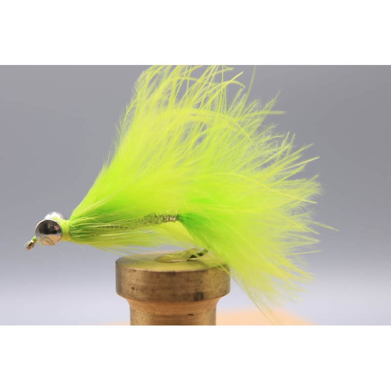 Coho Comet