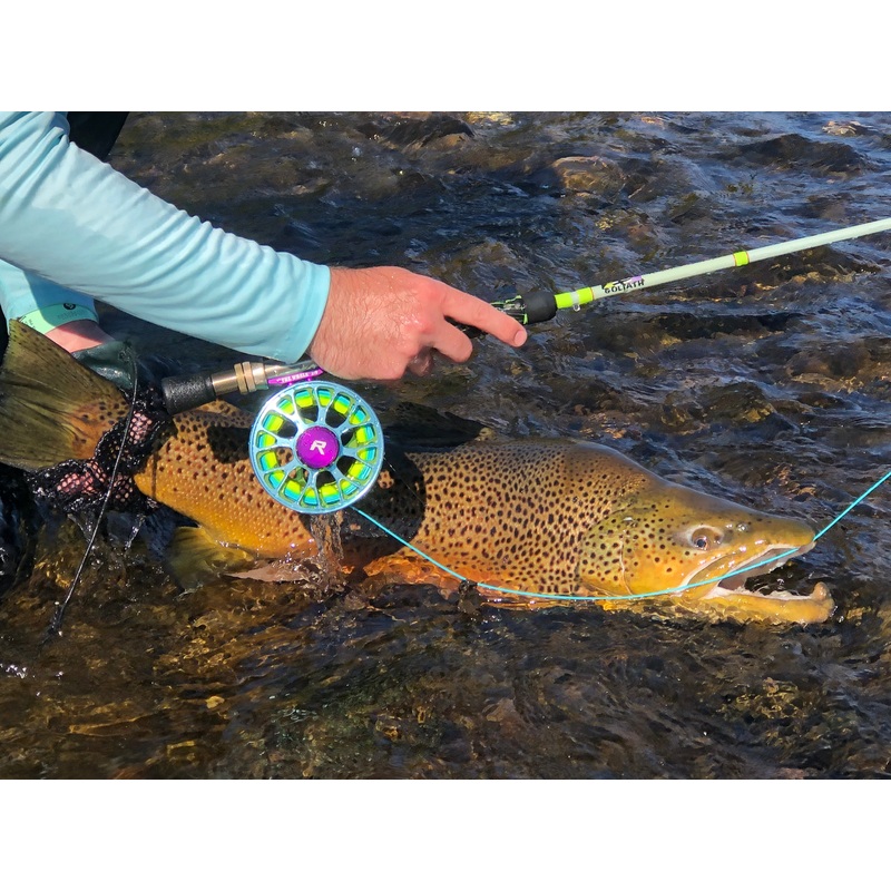 Goliath rod and reel combo