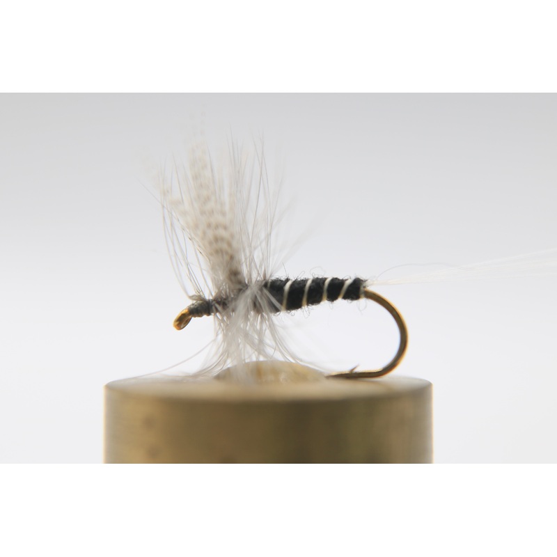 Isonychia Dry
