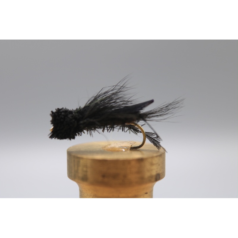 Letort Cricket – Black