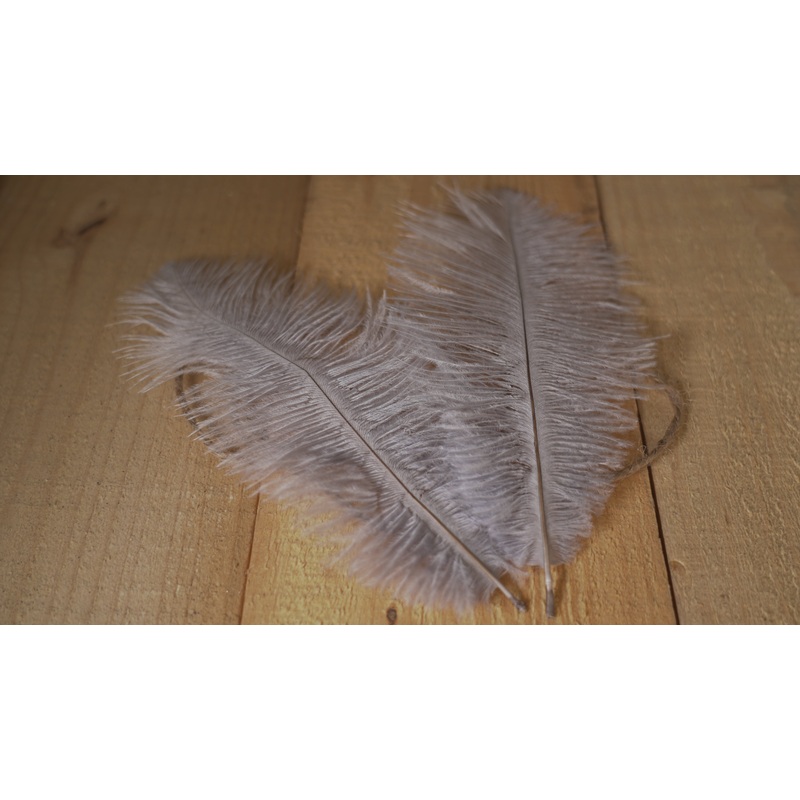 Ostrich drab $2.00