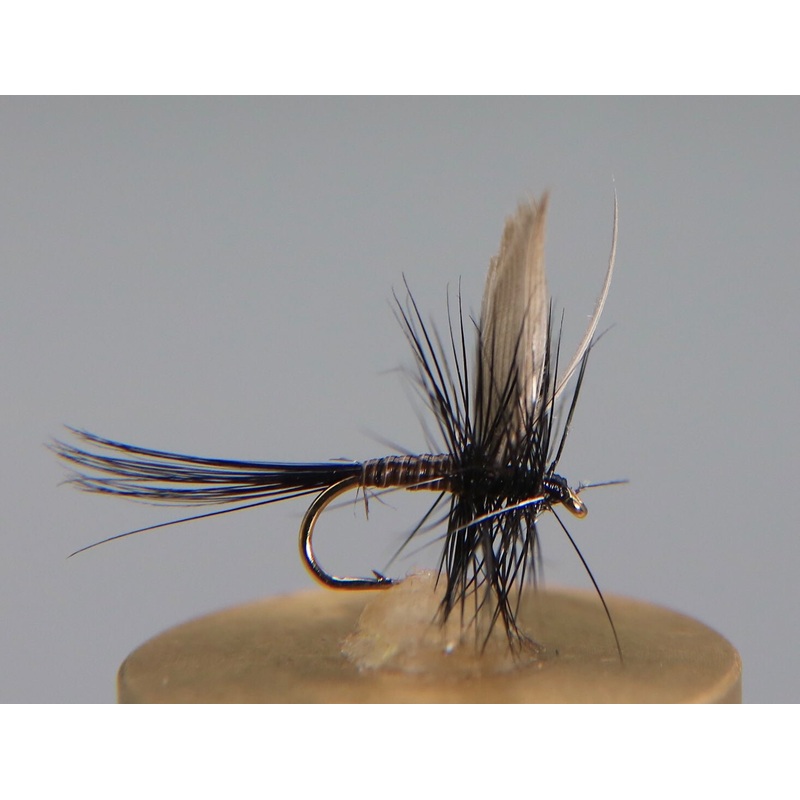 Quill Black Dry
