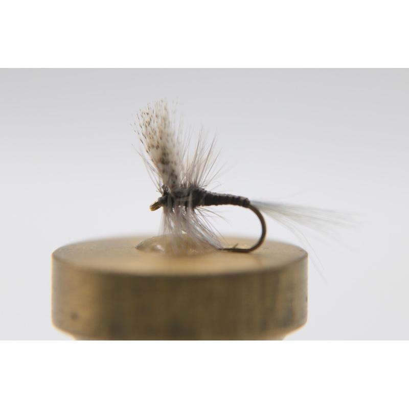 Quill Gordon Dry