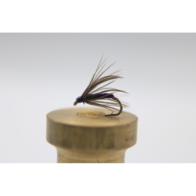 Starling and Purple Wet Fly