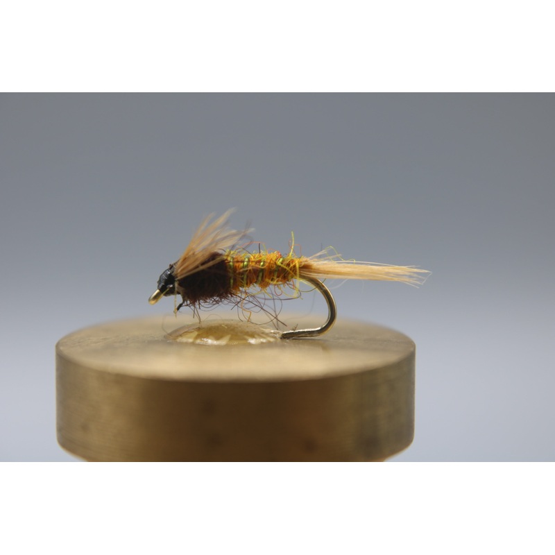 Sulphur Nymph