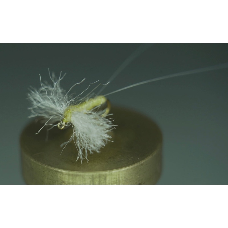 Sulphur Spinner Dry
